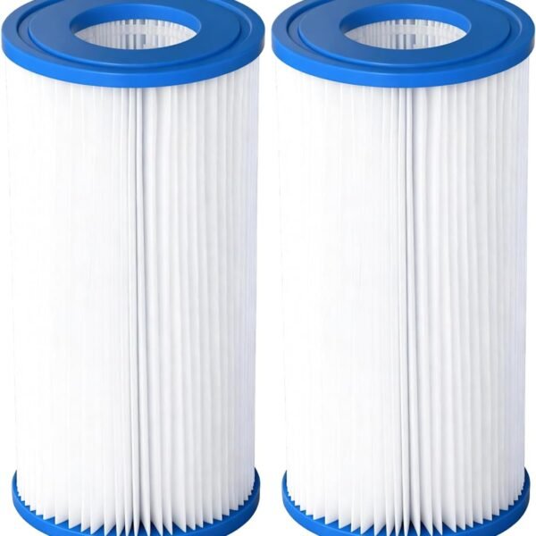 Pool Filter Cartridge for Type A or C, Compatible with Above Ground Pools 29000E/59900E, Type A/C Reusable Pool Filter for 1000/1500/530 GPH Filter Pump, Pack